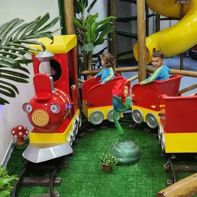 Trenzinho do Castelo com crianças no passeio
